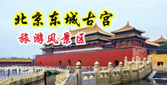 双飞淫女中国北京-东城古宫旅游风景区